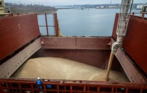 Індія відкриває експорт пшениці: світовий ринок полегшено